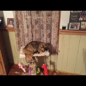 Meet your Posher, Sandy